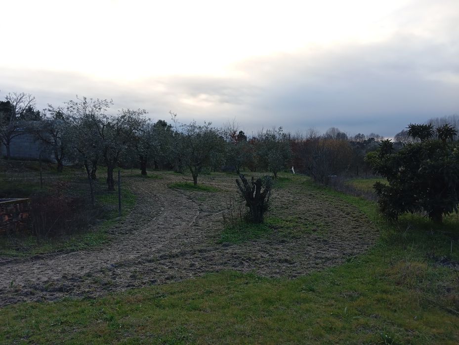 Terreno Agrícola - Vilar Seco