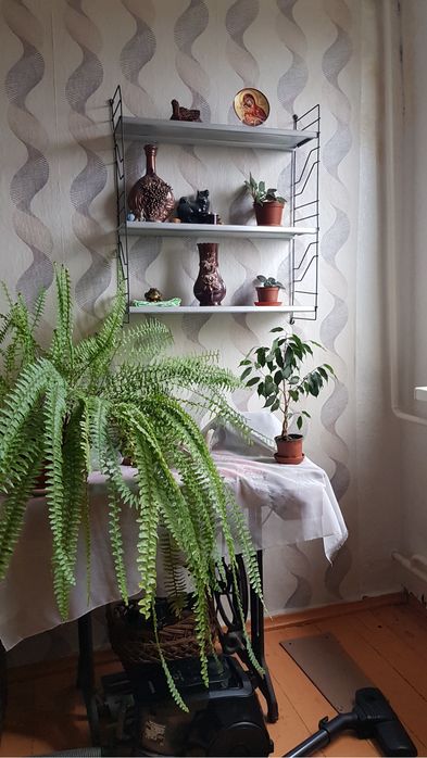 Продам два дома на одном участке. Есть газ!