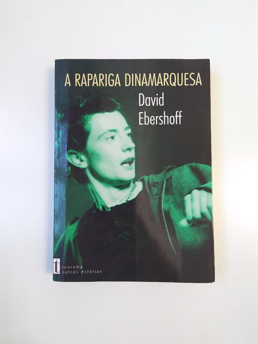 A Rapariga Dinamarquesa, David Ebershoff