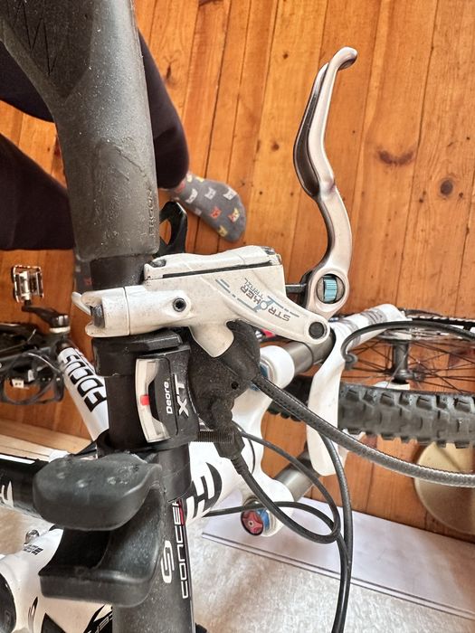 Focus Black Forest XL 26