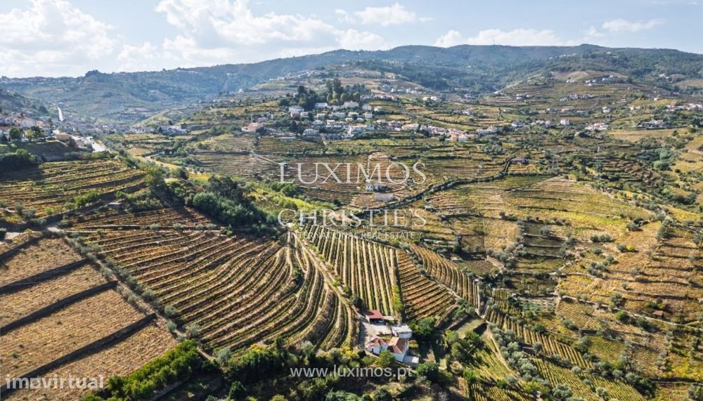 Quinta Vinícola à venda no Douro Valley em Cambres, Lamego