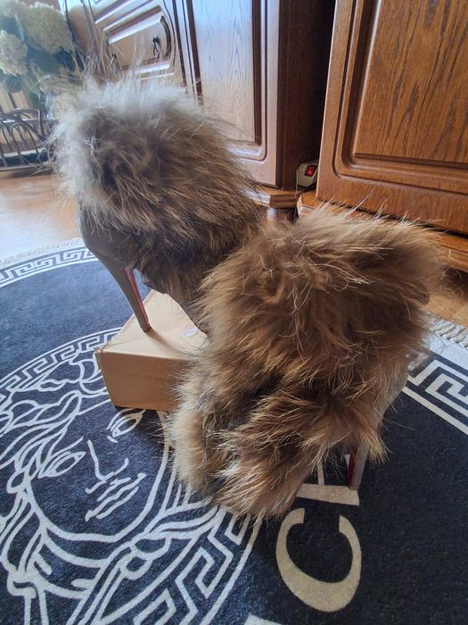 Piękne botki Christiana Louboutina