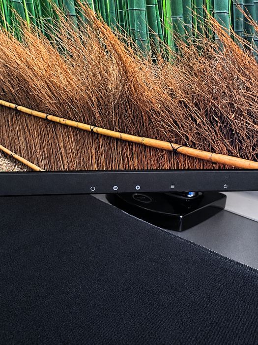 monitor samsung 60hz 24p