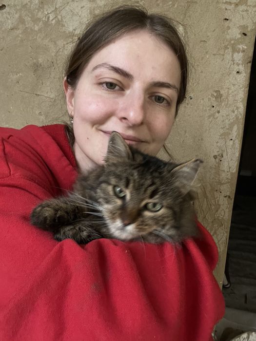 пухнаста маленька кішечка таббі кіт кішка киця стерилізована вік 1 рік