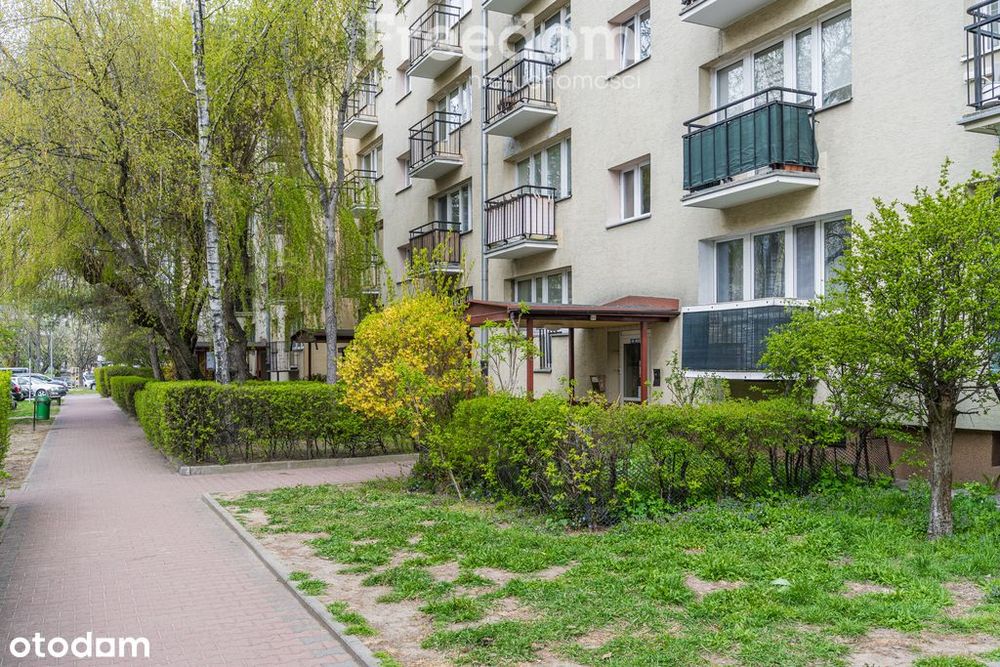 Rozkładowe 3 pokoje/Blisko parku/Tramwaj