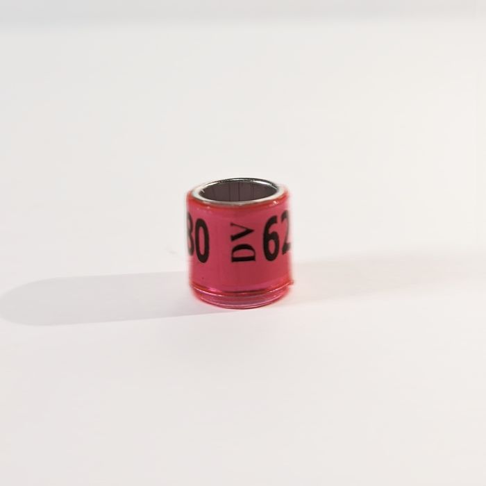 Obrączki dla gołębi DV 2022 - 30szt