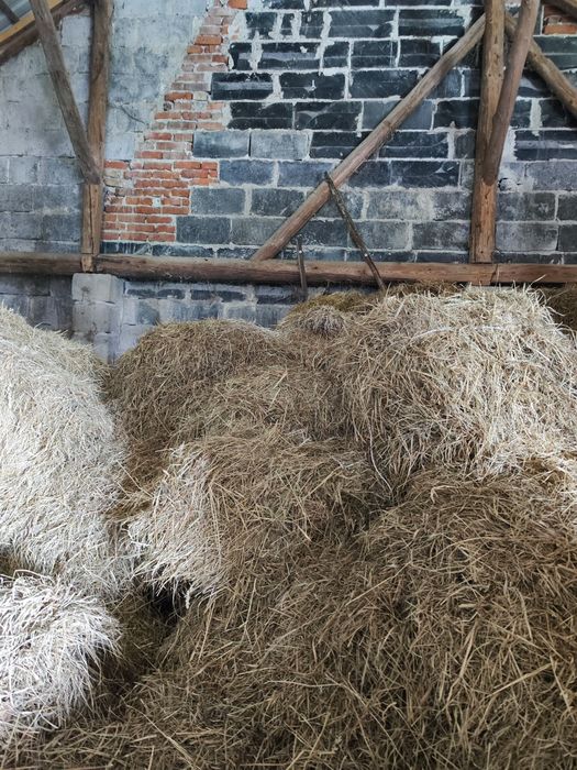Sprzedam siano w kostkach