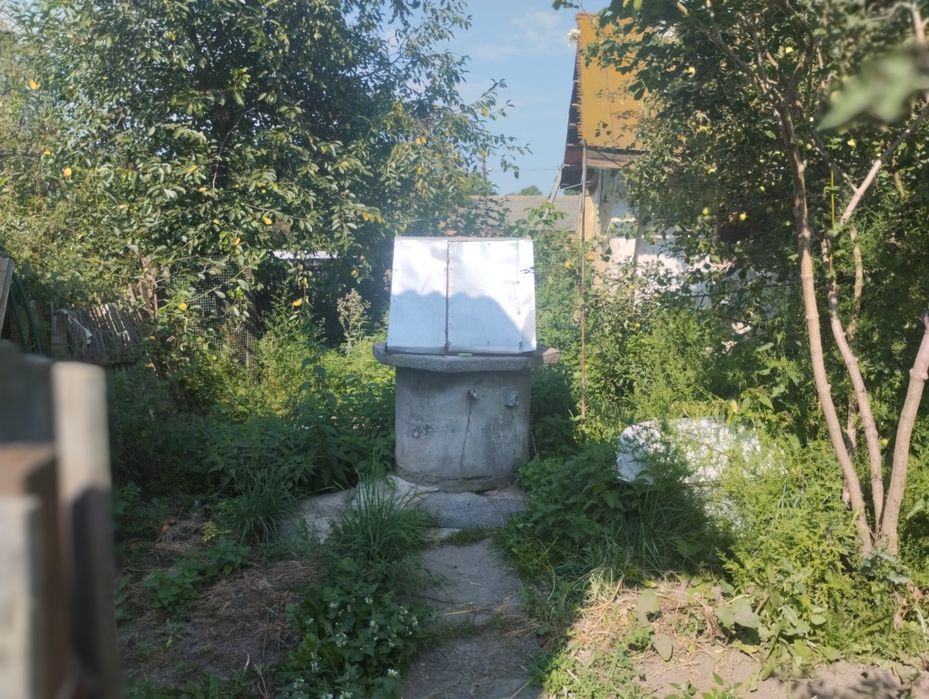 Продам будинок, садибу.