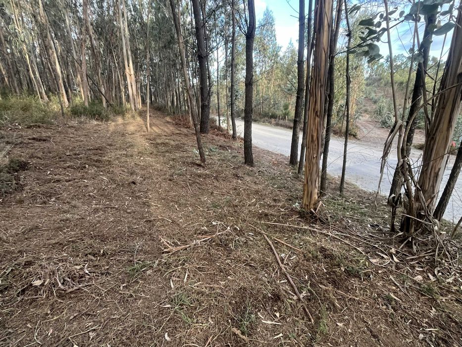 Serviço de limpeza de terrenos