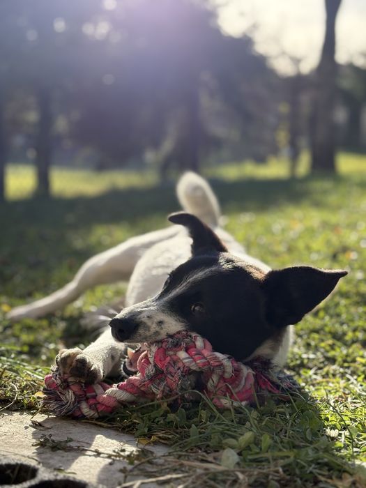 Jacuś, 8-miesięczny bąbel