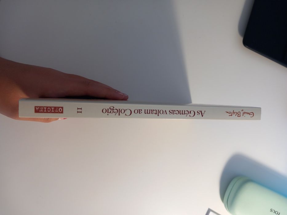 Livro "As gémeas voltam ao Colégio" volume 2