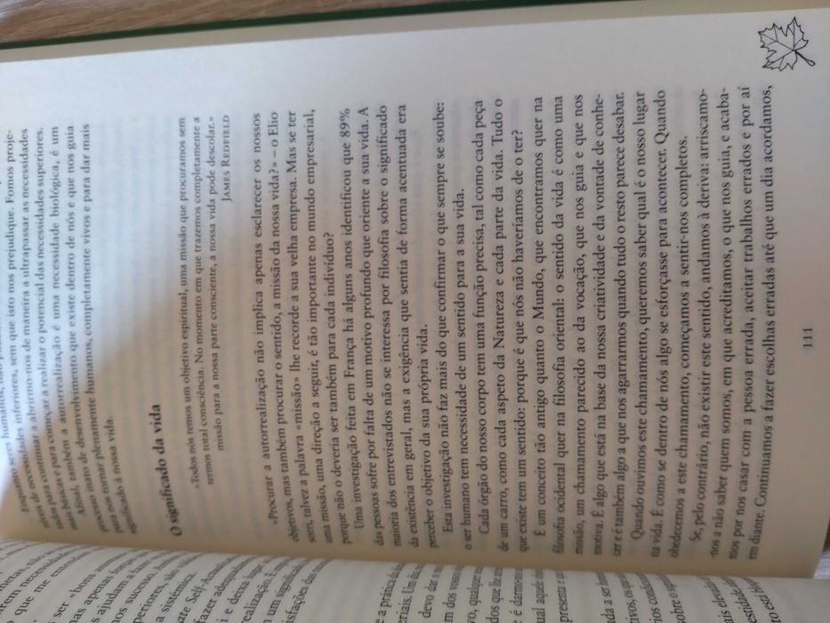 Toda uma nova vida - livro de Lúcia Giovannini