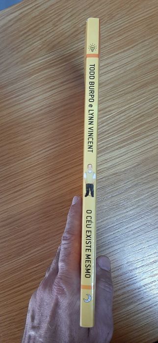 Livro "O Céu Existe Mesmo" (Todd Burpo e Lynn Vincent)