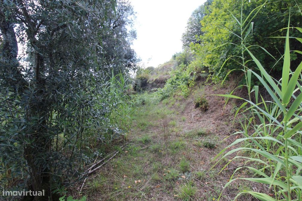 Terreno Urbano