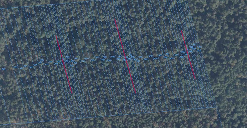 Działki lasu na sprzedaż