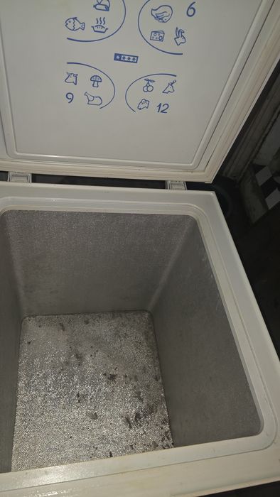 Arca congelados pequena