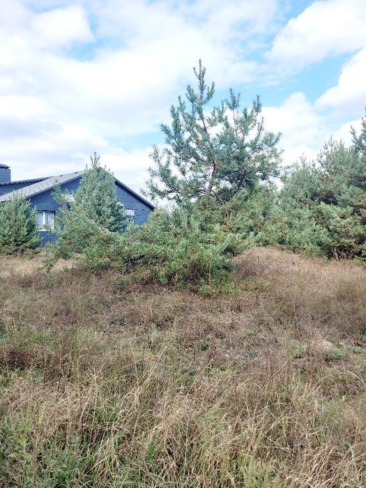 Земельна ділянка, житлова забудова село Пряжів