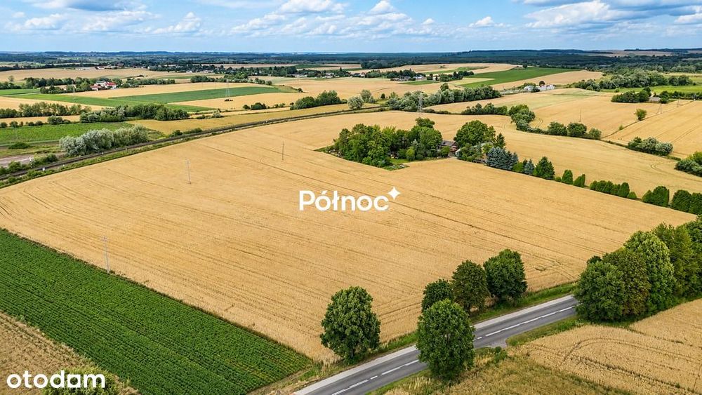1 ha pola w granicach miasta Hrubieszów