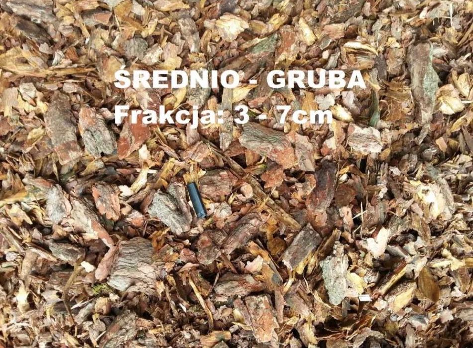 Kora sosnowa ogrodowa Kraków (małopolskie)