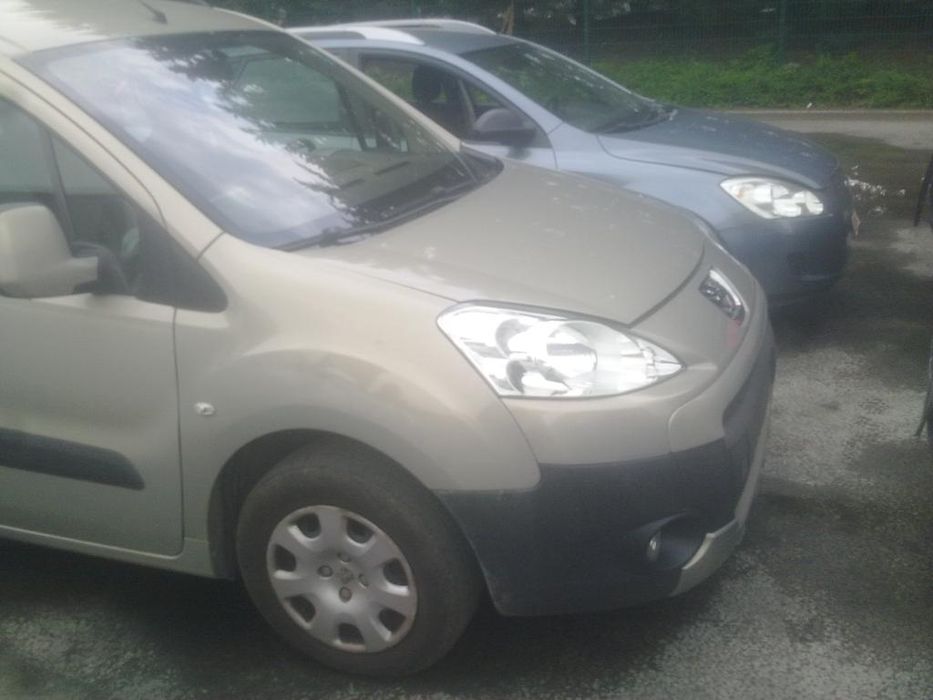 Peugeot Partner 2008 - 2012 Дверь