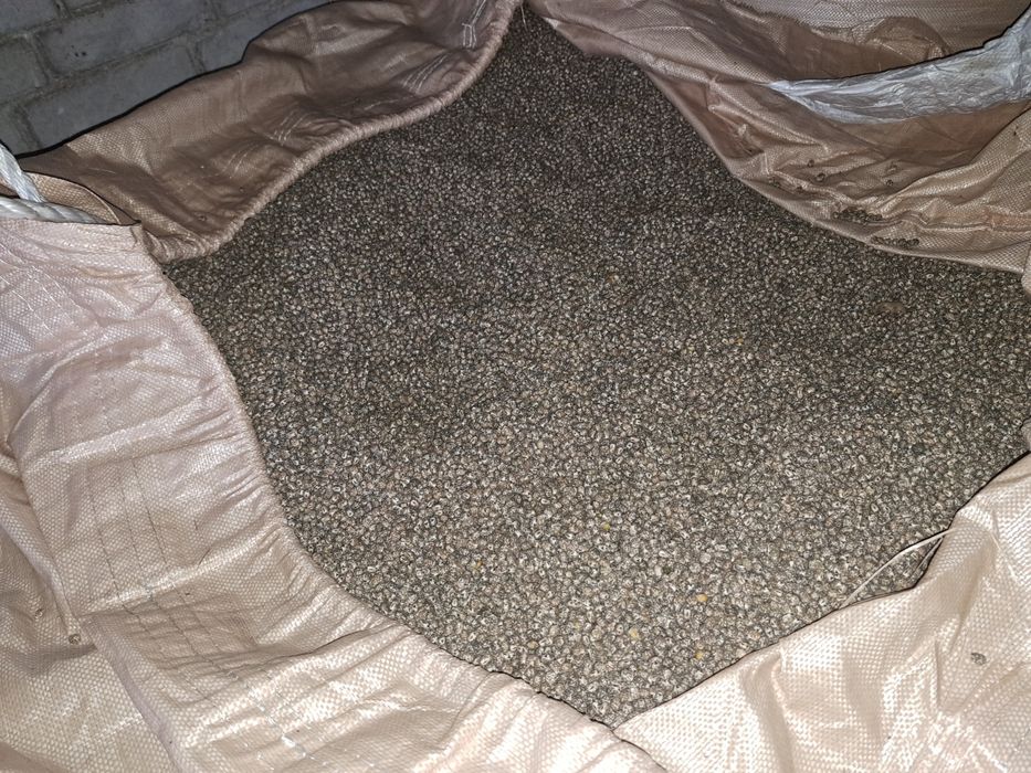 Łubin gorzki niebieski waskolistny Karo