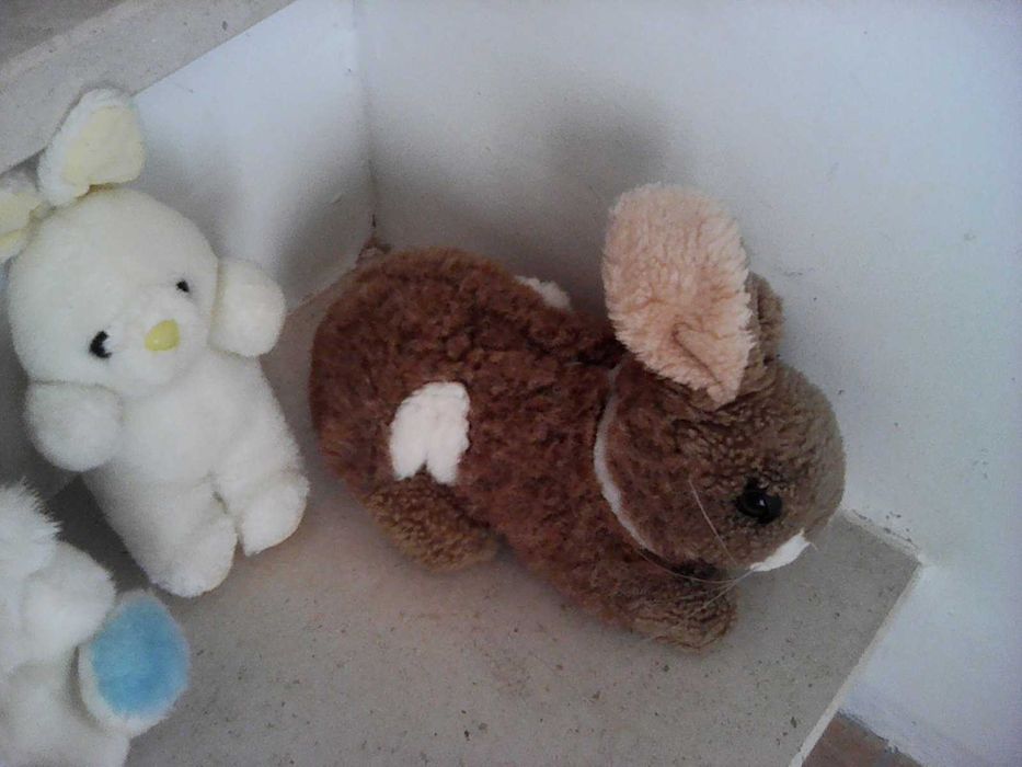 Peluches vários animais e boneco Nody no carro