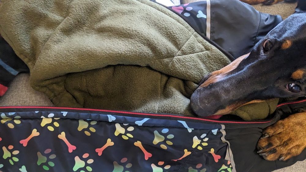 Безрукавка на флісі