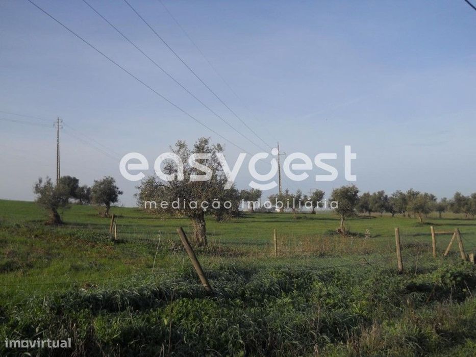 Terreno de 16.500m2 em Aljustrel