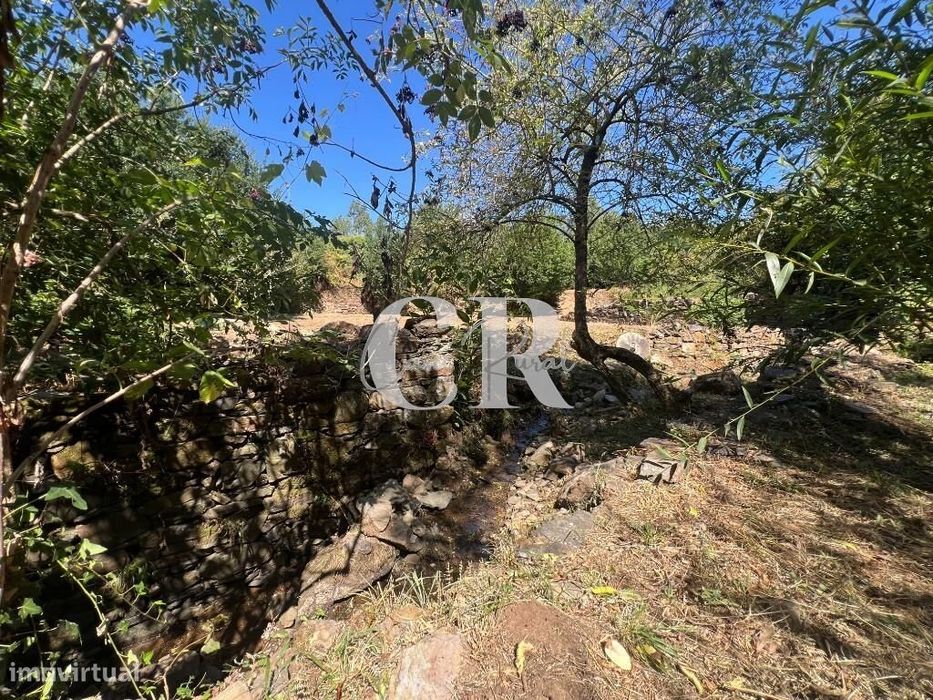 Casa de Pedra Renovada, Ruínas, Riacho, Poços e 15.570m2 de Terreno na