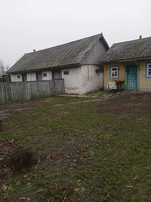 Продається будинок  с. Талалаївка Ніжинського району