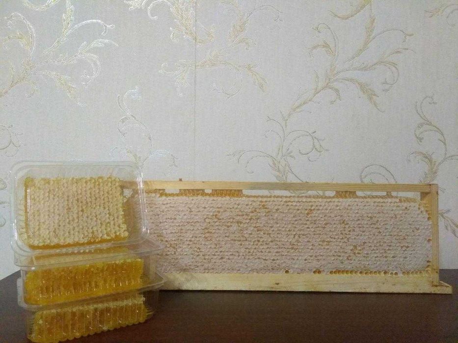 Мед РІЗНОТРАВ`Я (серпень, 2025) натуральний, якісний, з власної пасіки