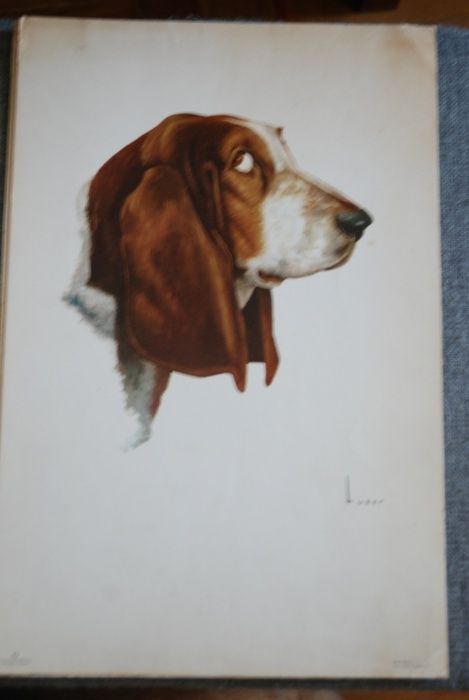 Estampas diversas antigas