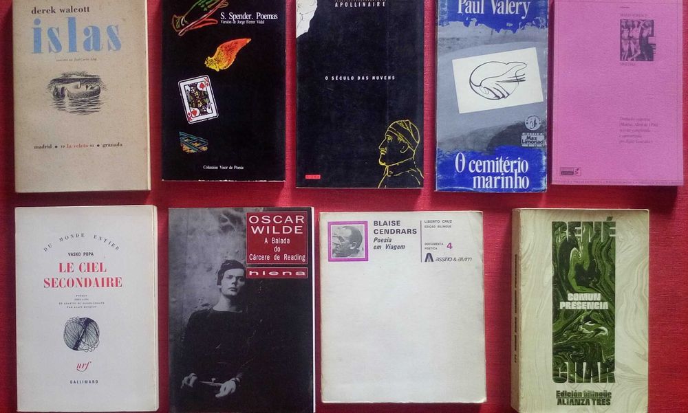 Poesia estrangeira em tradução