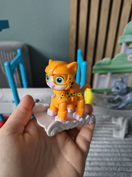 Baza kotki kocia załoga cat pack wieża obserwacyjna