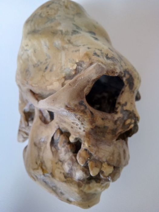 Статуэтки богиня майя сумоист череп гунна  handmade