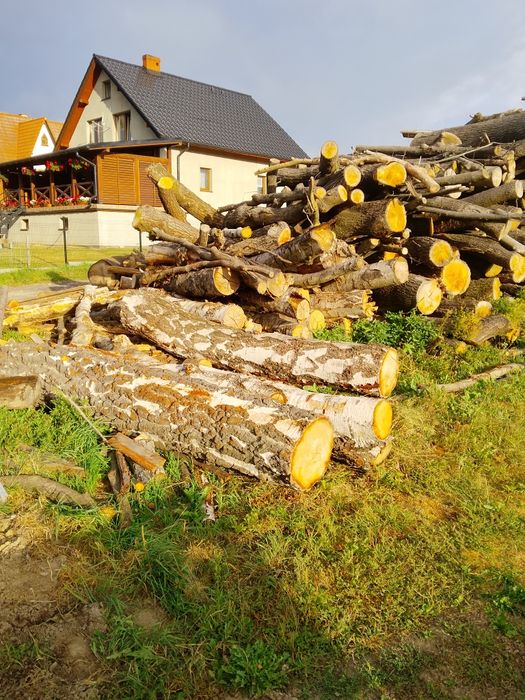 Drewno opałowe dąb