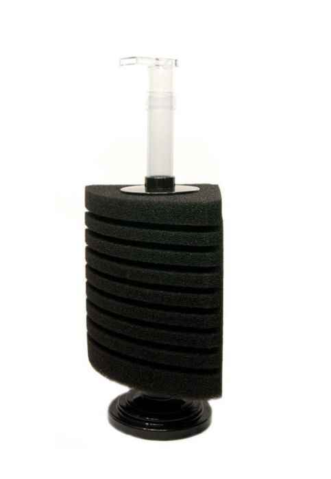 Aqua Nova zapasowa gąbka do NSF-C350L