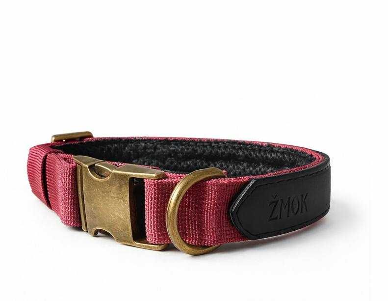 Нашийник для собак середніх і великих порід (42–46 см)