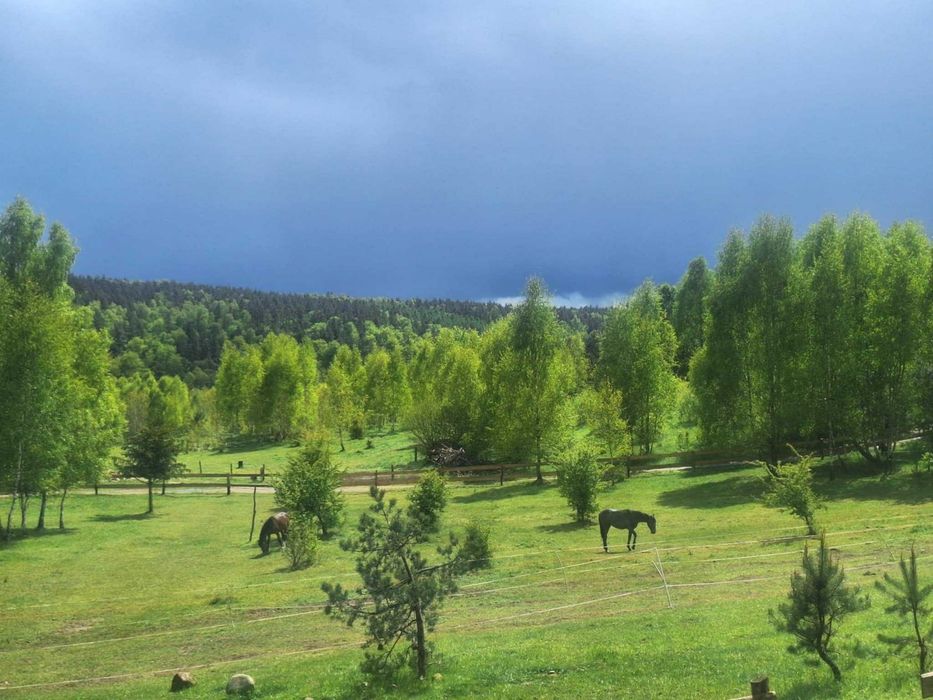 Siedlisko Drzewina - domek na wsi,  blisko wyciągu  narciarskiego