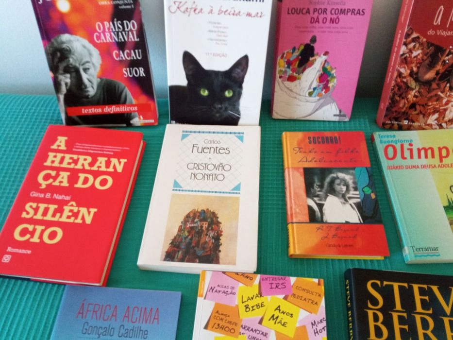 Livros variados.