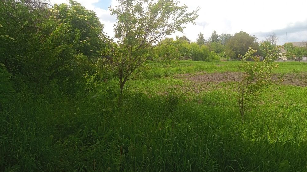 Продаётся под полдома с приусадебным хозяйством