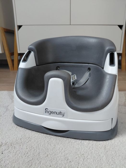Ingenuity 2 w 1 Babysity slate grey