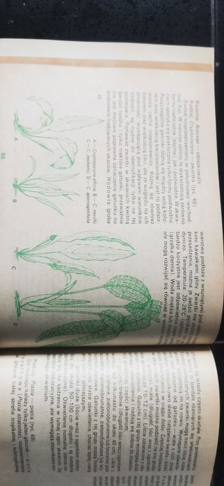 Akwarium w mieszkaniu
Stefan Kornobis