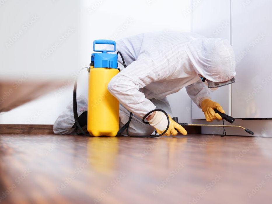 PROFESJONALNE Odkomarzanie kleszcze komary pluskwy karaczany