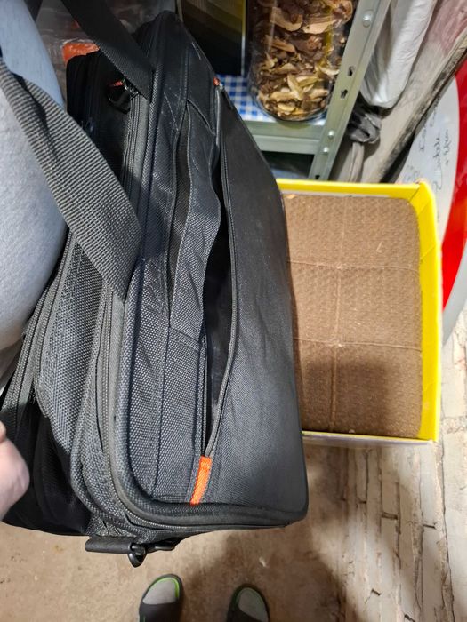 Torba na laptop i dokumenty Davidts