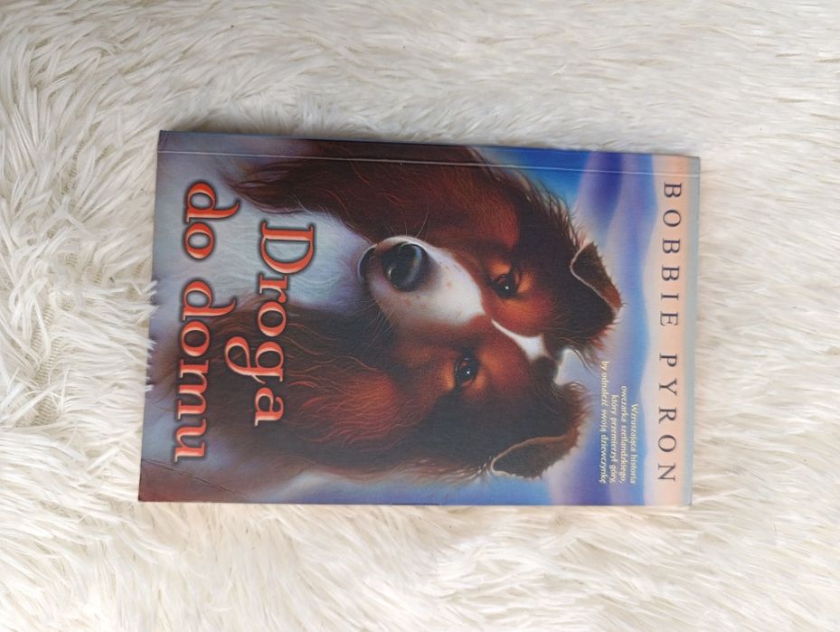 Książka Droga do domu