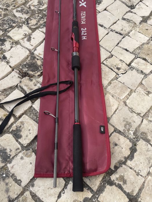 Cana Daiwa Ballistic-X Tenya BLX242HAF - jigging, light rock fishing