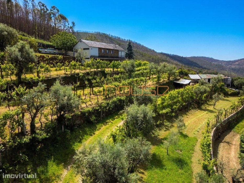 Quinta agrícola - 45 minutos do Porto