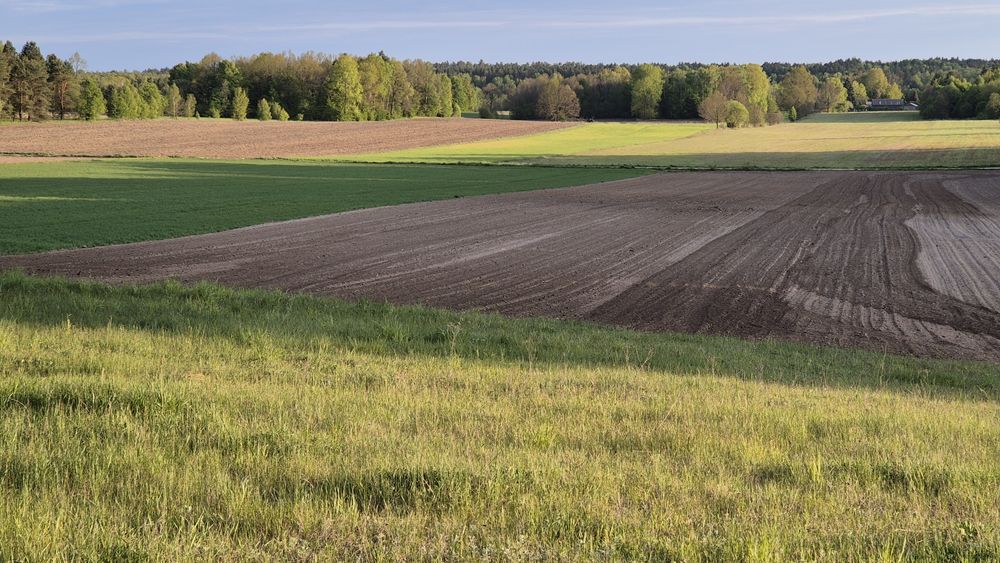 Sprzedam działkę rolno-leśną