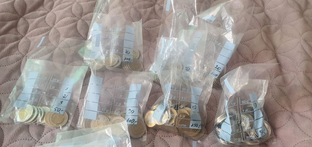 Woreczki do segregacji bilonu 100szt